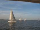 img_3481_small.jpg
