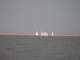 kbrsjune132012039_small.jpg
